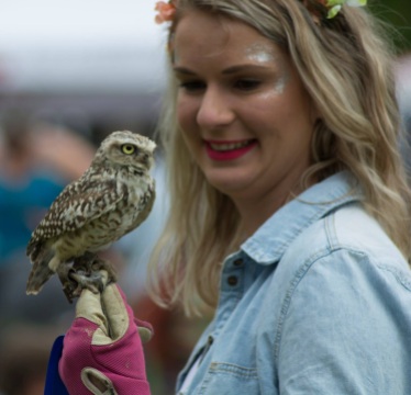 Close up with Peanut the burrowing owl