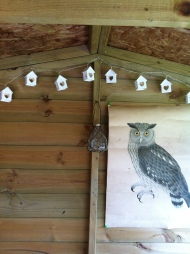 Love my Owl Shed